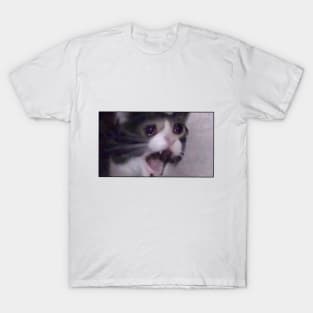 Sad Cat T-Shirt